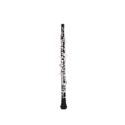 FCL301 Fidelis Clarinet, plastic