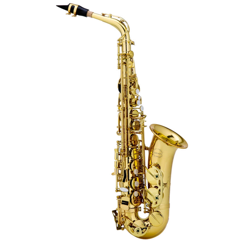 HOSCO SAS-NSP Selection アルトサックス Ada Music Center - CAS-22GL Chateau Alto sax
