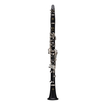 BC2541-5-0 Buffet Prodige Clarinet