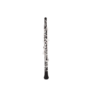 FCL301 Fidelis Clarinet, plastic